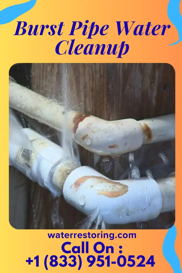 Burst Pipe Water Cleanup in Lake Ka-Ho, IL