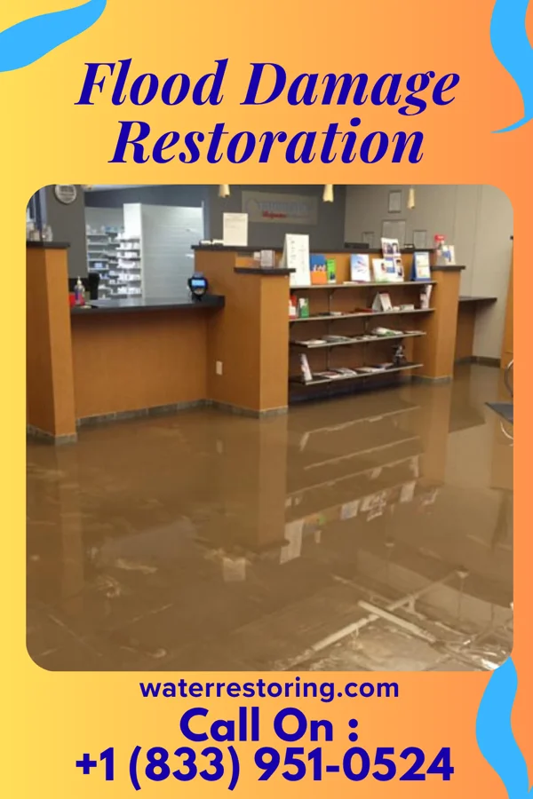 Flood Damage Restoration in Lake Ka-Ho, IL