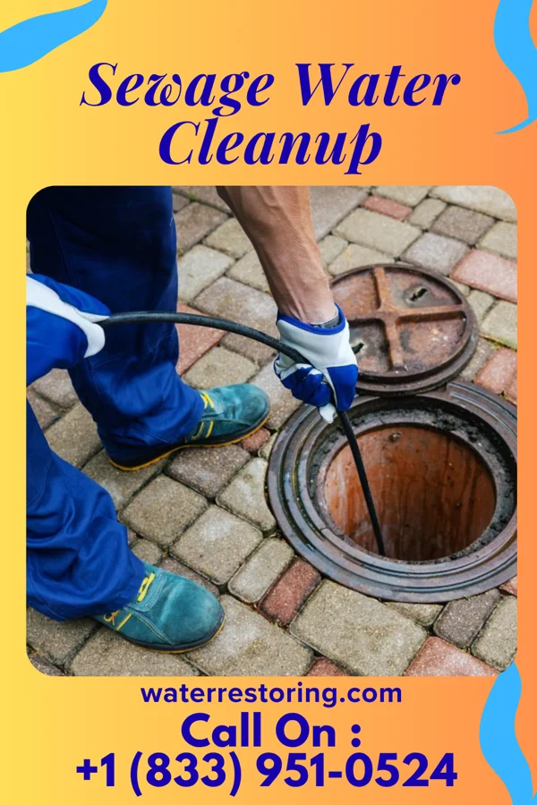 Sewage Water Cleanup in Lake Ka-Ho, IL