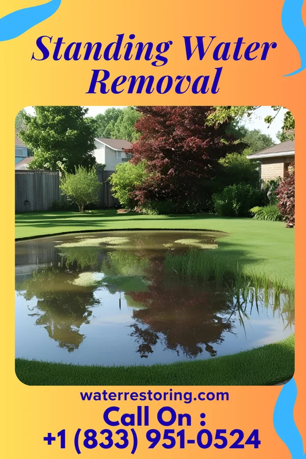 Standing Water Removal in Lake Ka-Ho, IL
